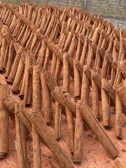 WHOLE CASSIA CINNAMON Color Natural Brown Max. Moisture (%) 13,5 Quality No moldy, not worm - eaten, not rotten and not black - Image 1