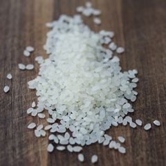 JAPONICA RICE 3% BROKEN ROUND GRAIN RICE BIG SIZE VIETNAM ORIGIN GOOD QUALITYREASONABLE PRICE Riz Arroz whatsap 0084 989 322 607 – product photo 4, product detail gallery