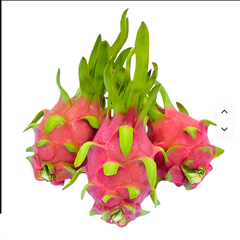 Export Quality Fresh Dragon Fruit with White Sweet COMMON Cultivation Tropical Fruits Kz - Image 2