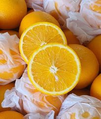 CLASS 1 Export quality Fresh South African Valencia Oranges – Ready for Export! Excellent Packaging - Image 4