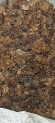 Myrrh Resin Commiphora Myrrha 2025 Harvest - Image 1