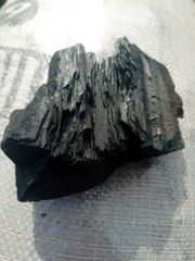 Hard and soft wood quality charcoal - Image 1