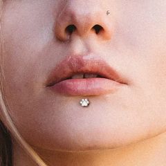 ASTM F136 Titanium Jewelry Zircon Stone Heart-Shaped Cat Claw Top 0.9mm Thread Labret Piercing Fashion Rings Labret Studs Wholesale - Image 3