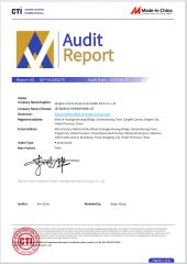 CTI Audit Report certificate of Qinghe County Suojie Automobile Parts Co., Ltd – certificate photo, supplier certificates section