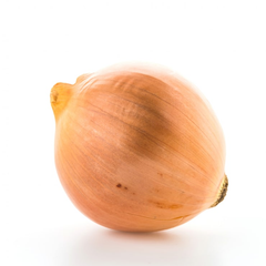 Fresh Yellow Onions High Quality Bulk Onion Supplier for Wholesale Food Markets and Export - Image 2