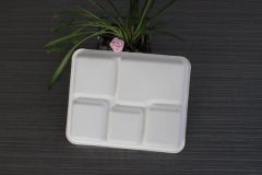 Food Grade Popular 12.5'' 5 Compartment Sugarcane Tray Disposable Bagasse Tableware - Image 4