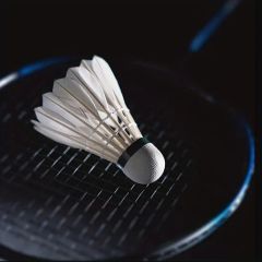 Hot Selling Goose Feather Durable Badminton Shuttlecock OEM Accept Trademark BZ Model NO. BZ01 Speed 75,76,77,78 Type - Image 4