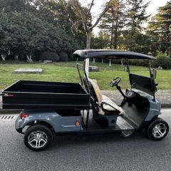 48V Golf Equipment Electric Golf Buggyelectric Golf Cart Scooter with Cargo Bed - Suzhou Wintao Intelligent Technology Co., Ltd.