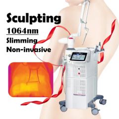 2940nm Erbium Laser Skin Rejuventaion Boody Sculpting Beauty Machine - Beijing DALI Beauty Technology CO., Ltd.