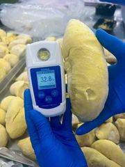 Frozen Monthong Durian, Grade A (with Seed) – product photo 3, product detail gallery