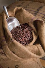 Premium Cocoa Beans – Wholesale Bulk Supply - Image 3