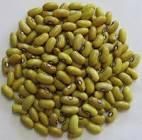 Beans, maize, rice, sunflower, cashews and spices. - Image 2