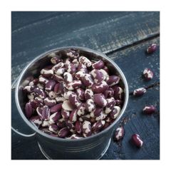 Dried sugar beans available for bulk export to food industry - Image 1