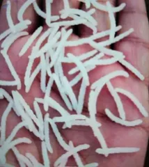 Ponni Non Basmati Rice - Image 1