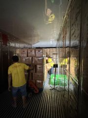 Song Nam ITD expands green skin pomelo exports  – Your Trusted Pomelo Export Partner - Image 4