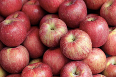 Fresh Apple - Image 1