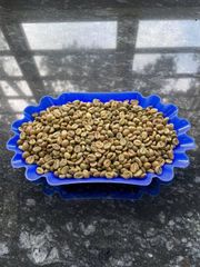 Robusta Green Coffee Beans S18 High Quality TNFOOD Factory Direct Export from Kenya - Image 3