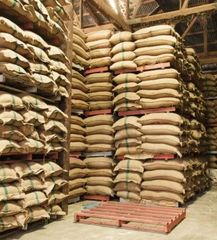 Cocoa Beans – product photo 1, product detail gallery