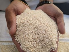 Sesame Seeds – product photo 1, product detail gallery