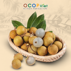 Nhãn IDO - IDO Longan Brand Name OCOP Viet Place of Origin Vietnam Packaging Details - Image 4