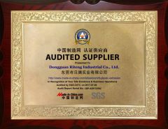 SGS certification certificate from Dongguan Riteng Industrial Co., Ltd.