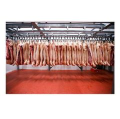 Frozen Clean Beef Carcasses For sale At Best Price - Image 4