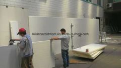 Cold Storage Room for Milk and Fish - Image 3