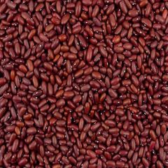 Export Red Kidney Beans Premium Grade Whole Seeds Clean Dried High Nutrition Suitable For International Buyers And Bulk Food Supply Chain Buy Now Fast Delivery Premium Quality Wholesale – product photo 5, product detail gallery