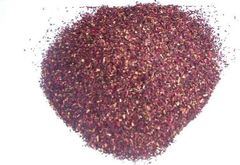 Hibiscus TBC – product photo 2, product detail gallery