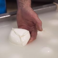 Italian Mozzarella Cheese Vitae Handmade Mozzarella Di Bufala Unripened Cheese Dop 500G Original Cheese - Image 4