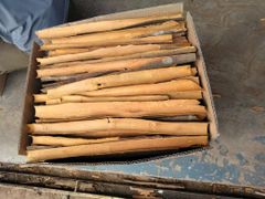 Split Cassia - Image 2