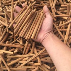 Cigarette Cassia - Image 1