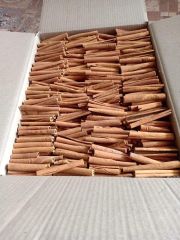 Cigarette Cassia - Image 6