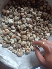 Raw cashew nut – product photo 1, product detail gallery