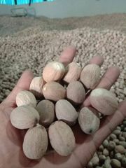 Nutmeg  – product photo 1, product detail gallery