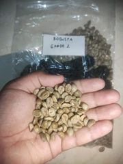 Robusta green Bean  – product photo 3, product detail gallery