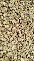 Raw Cashew Nut  – product photo 1, product detail gallery