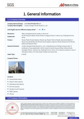 SGS Audit 2 certificate from Taizhou Xiongshi Plastic Mould Co., Ltd.