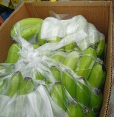 Banana Grade A Type Cavendish Packaging - Image 2