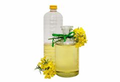 Pure Canola Oil Food Grade Cold Pressed Natural Edible Cooking Oil Bulk Supplier High Quality Export Grade – product photo 1, product detail gallery