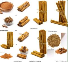 Ceylon Cinnamon - Image 1