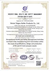 Q45001 certificate of Henan Taiguo Boiler Group Co., Ltd – certificate photo, supplier certificates section