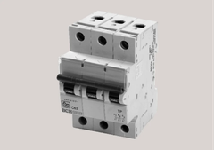 Mcb,Rccb,Isolater & Distribution Boxes Type Rccb Brand Schneider Type of Box SPN Connection 3 Way Tripping Curve C Door Type Single - Image 1