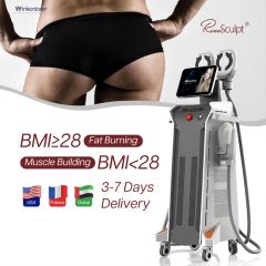 Factory Price Renasculpt Hiemt Fat Removal 3 in 1 EMS + RF Neo 5000W 15 Tesla 5 Handle Body Sculpting Slimming Machine Price - Sanhe Wk Electronic Technology Co., Ltd.