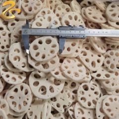 IQF Frozen Lotus Root Slices Vegetables Frozen Food GMO None Color White Blanching Yes Type Lotus Root HS Code 0710809090 - Image 4