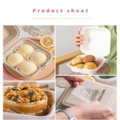 Biodegradable Compostable Eco-Friendly Sugarcane Bagasse Pulp Moulded Disposable Food Tray - QINGDAO QUEENRE DEVELOPMENT CO., LTD