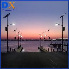 10m Solar LED Street Lights Power ≥30W Origin China IP Rating IP65 Voltage 12/24V Light Type Solar HS Code 54094090 Model NO. DX-0013 - Image 5