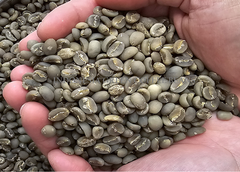 Arabica Coffee Green Beans Indonesia. – product photo 2, product detail gallery