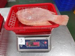 Good Nature Frozen Fish Red Tilapia Gutted Scaled From Vietnam for export - Image 3
