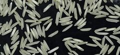 Company – thumbnail 5 of 6, supplier detail gallery